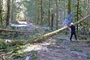 A Northwest Wilderness group clears blow down before the Dingford gate